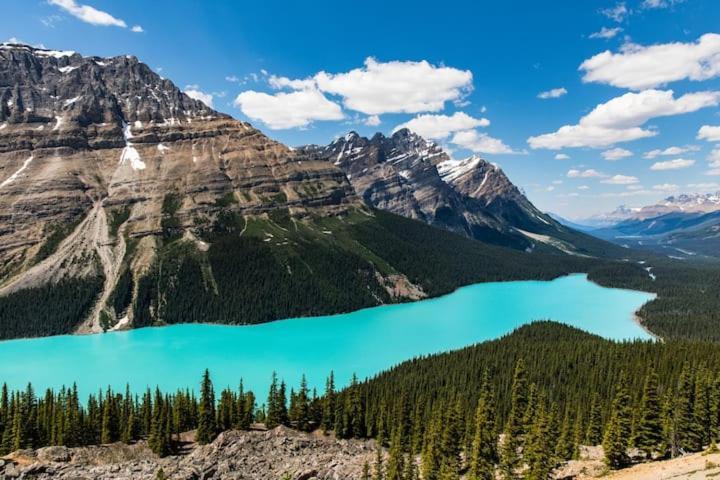 Beautiful Newly Reno 2Bdm 2 Bth Sleep Up To 6 Adults & Kids Mountain View Townhouse Suite Canmore Eksteriør bilde
