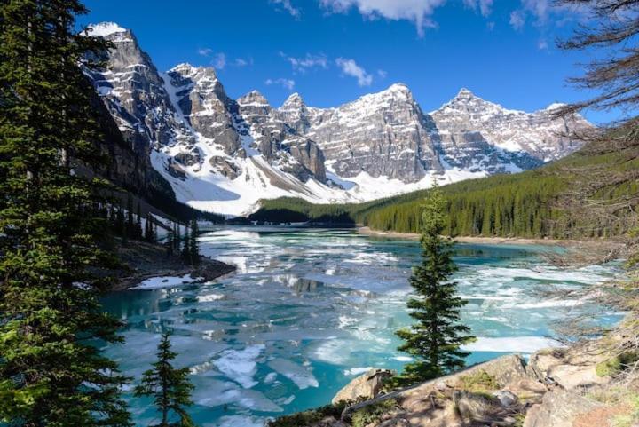 Beautiful Newly Reno 2Bdm 2 Bth Sleep Up To 6 Adults & Kids Mountain View Townhouse Suite Canmore Eksteriør bilde